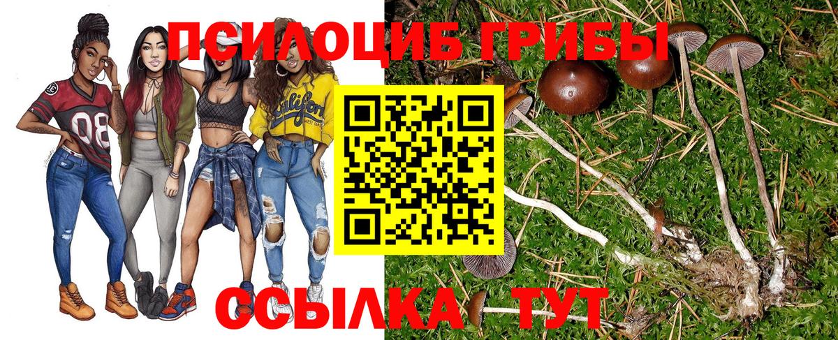 Люберцы  Псилоцибиновые грибы прущие грибы  Вход с VPN 